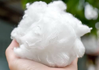 polyester stable fiber